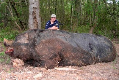 hog.jpg