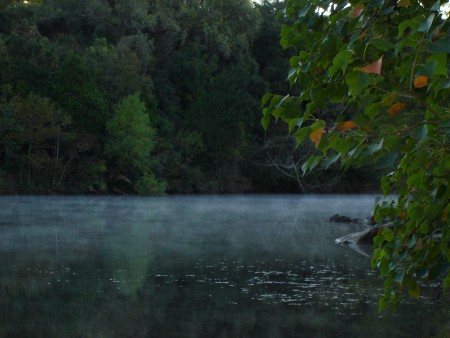 Red Bud Isle on Austin's Town Lake