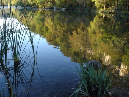 Red Bud Isle on Austin's Town Lake